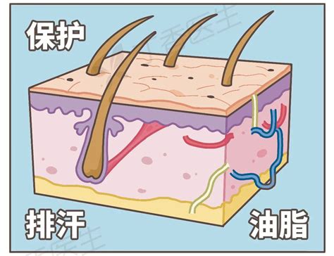 手長白色的毛|为啥你身上会长几根特别长的毛？